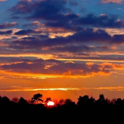 BET体育365投注官网app下载